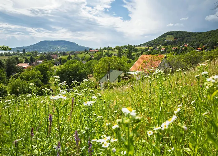 Kopacsi By Interhome Badacsonyörs