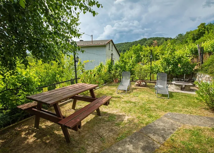 Kopacsi By Interhome Badacsonyörs